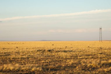 Teppe, Prairie, Veld, Veldt