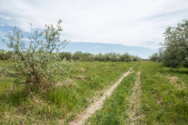 Baharın başında bozkır. Doğa, seyahat