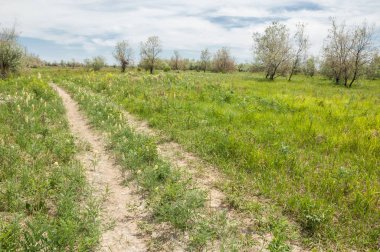 Baharın başında bozkır. Doğa, seyahat