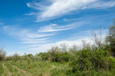 Baharın başında bozkır. Doğa, seyahat