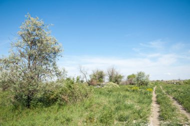 Bozkır, bozkır, bozkır, bozkır. Kaza 'daki Ili Nehri deltası.