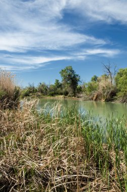 Bozkır, çayır, veld, veldt