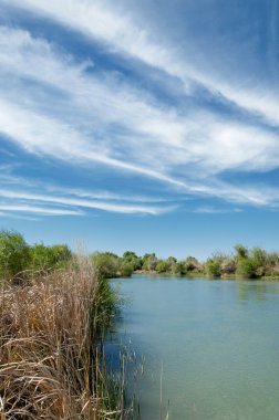 Bozkır, çayır, veld, veldt