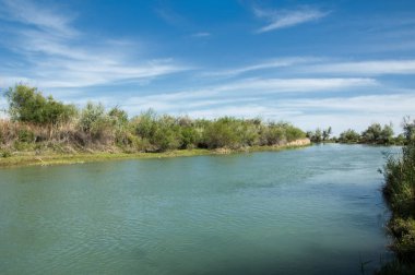 Bozkır, çayır, veld, veldt