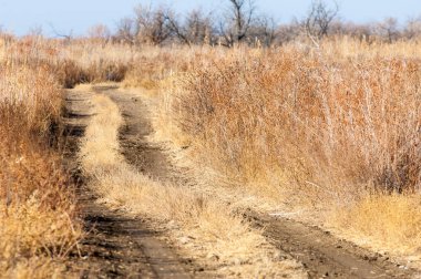 Baharın başında bozkır. Doğa, seyahat