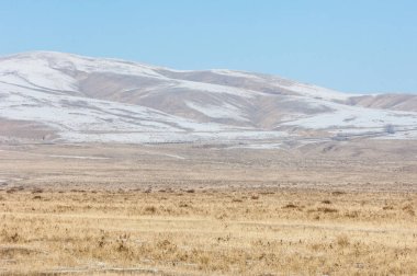 Bozkır, çayır, veld, veldt