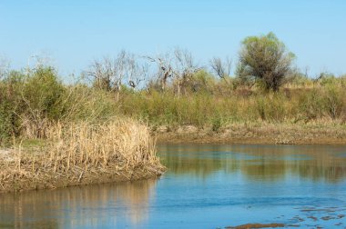 Çöle yakın. Çöl. Bozkır. nehir
