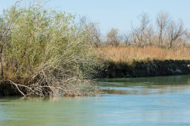 Çöle yakın. Çöl. Bozkır. nehir