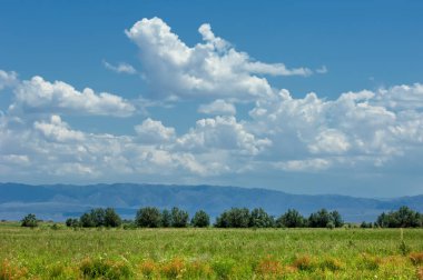 Bozkır, çayır, veld, veldt