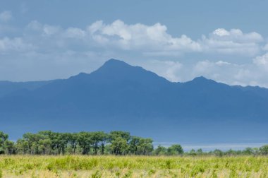 Bozkır, çayır, veld, veldt. 