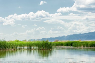Steppe 'deki nehir. Çayır