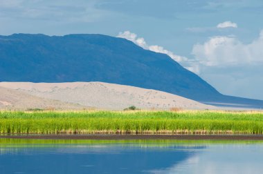 Turgai kurtardı. Çölde göl