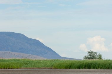 Bozkır yaz. Turgai Kaydet. Çölde Gölü