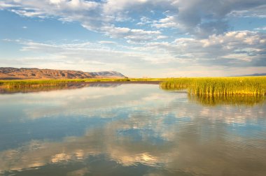 Bozkır yaz. Turgai Kaydet. Çölde Gölü