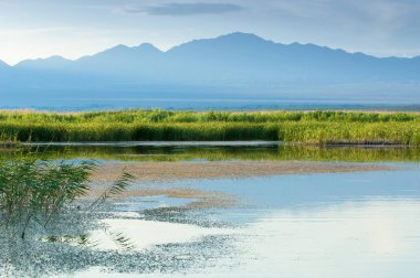 Bozkır yaz. Turgai Kaydet. Çölde Gölü