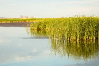 Bozkır yaz. Turgai Kaydet. Çölde Gölü