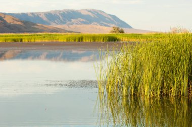 Bozkır yaz. Turgai Kaydet. Çölde Gölü