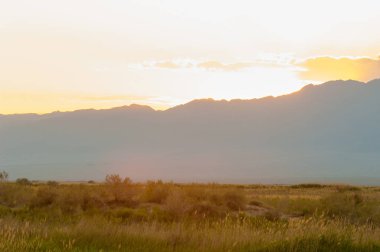 Bozkır yaz. Turgai Kaydet. Çölde Gölü