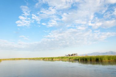 Bozkır yaz. Turgai Kaydet. Çölde Gölü