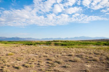 Bozkır yaz. Turgai Kaydet. Çölde Gölü