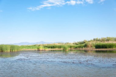 Bozkır yaz. Turgai Kaydet. Çölde Gölü