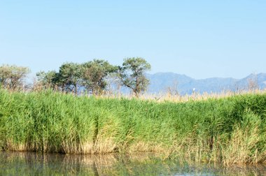 Bozkır yaz. Turgai Kaydet. Çölde Gölü