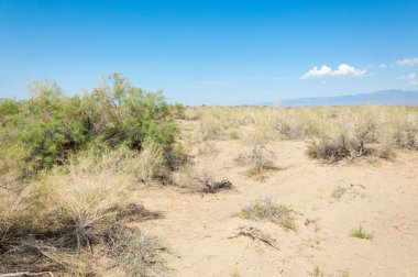Bozkır yaz. Turgai Kaydet. Çölde Gölü