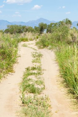 Bozkır yaz. Turgai Kaydet. Çölde Gölü