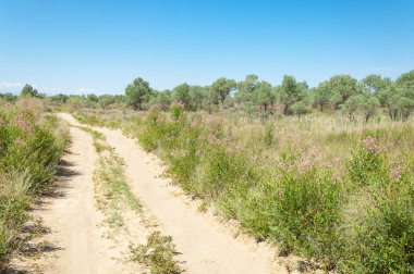 Bozkır yaz. Turgai Kaydet. Çölde Gölü