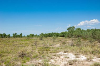 Bozkır yaz. Turgai Kaydet. Çölde Gölü
