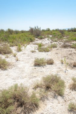Bozkır yaz. Turgai Kaydet. Çölde Gölü