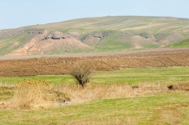 Kazakistan 'da tarımsal işlemler, toprak ekimi. Çiftçilik sırasında ağır traktörleri sürmek tarlada sabanla çalışır.