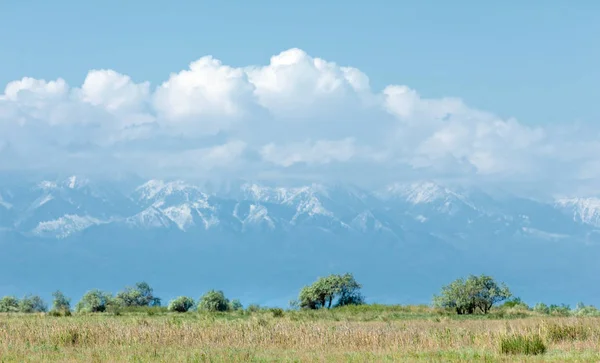 Steppe — Stockfoto