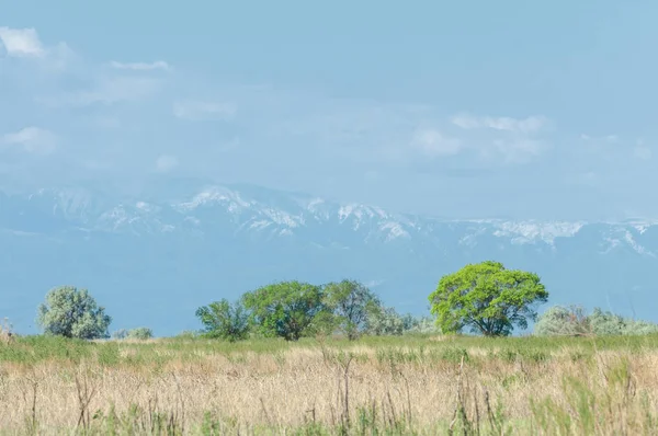 Steppe — Stockfoto