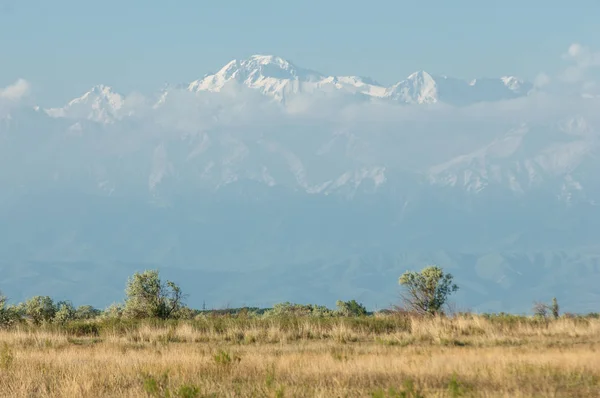 Steppe — Stockfoto