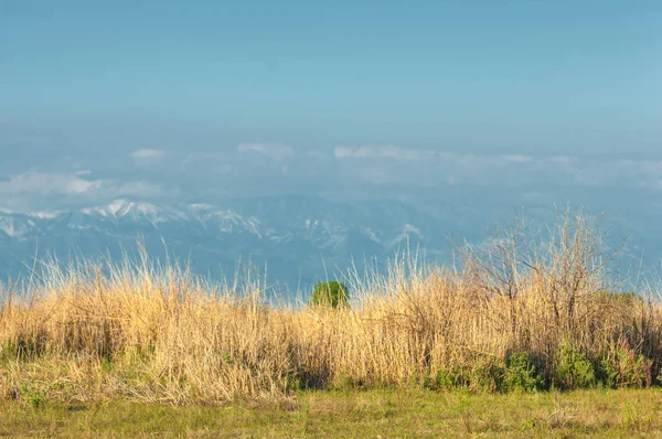 Steppe — Stockfoto