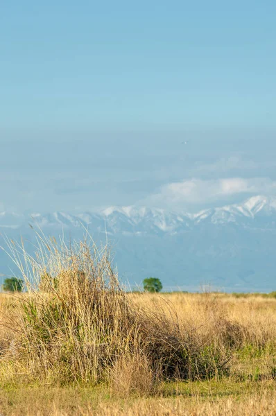 Steppe — Stockfoto