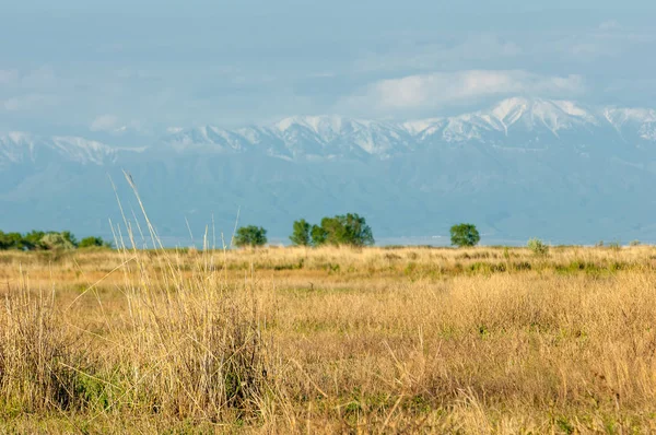 Steppe — Stockfoto