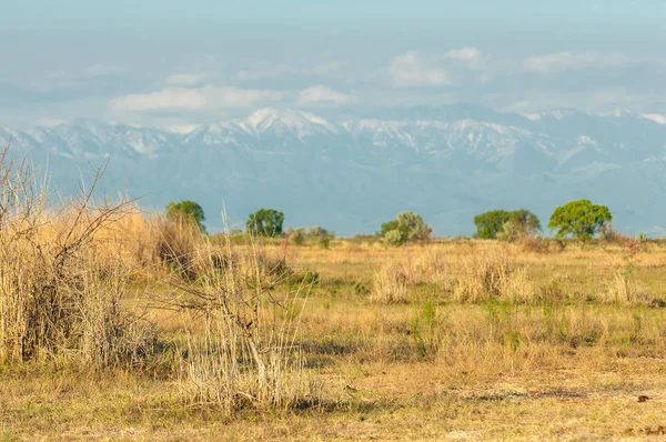 Steppe — Stockfoto