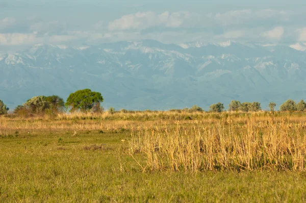 Steppe — Stockfoto