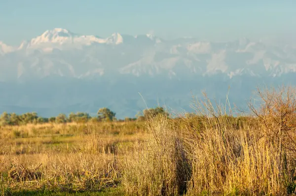 Steppe — Stockfoto