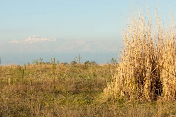 Steppe — Stockfoto