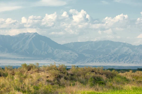 Stepní léto. Akťubinské Uložit. Jezero v poušti — Stock fotografie