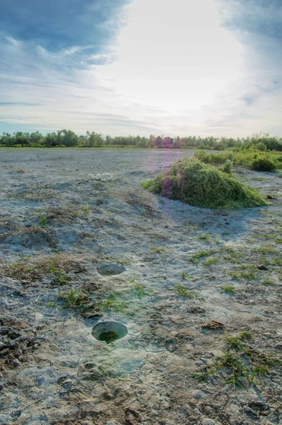 Steppe saline. Des plantes mortes. Été chaud — Photo