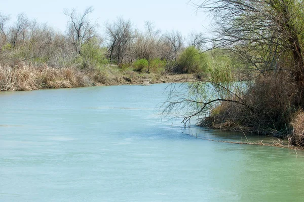 Estepa río cañas verano — Foto de Stock