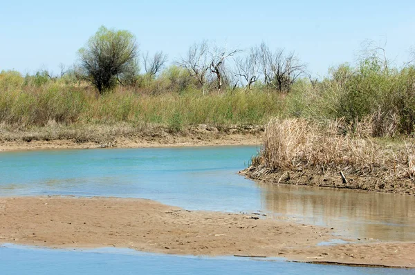 Estepa río cañas verano — Foto de Stock