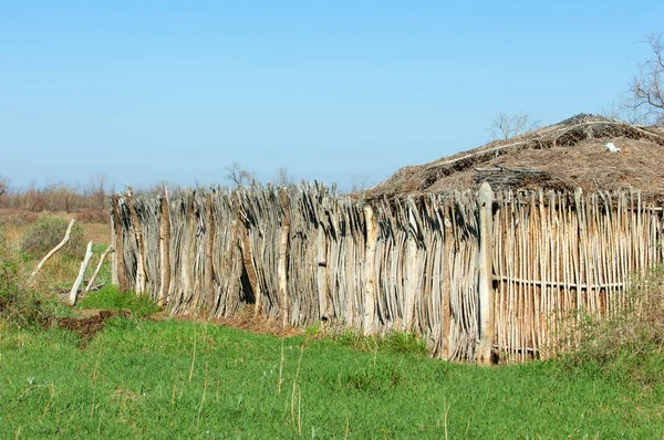 Çöl, vahşi doğa, kumlar, yabani hayvanlar, atıklar, sahara — Stok fotoğraf