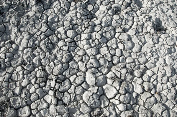 Cracked ground, cracked texture — Stock Photo, Image