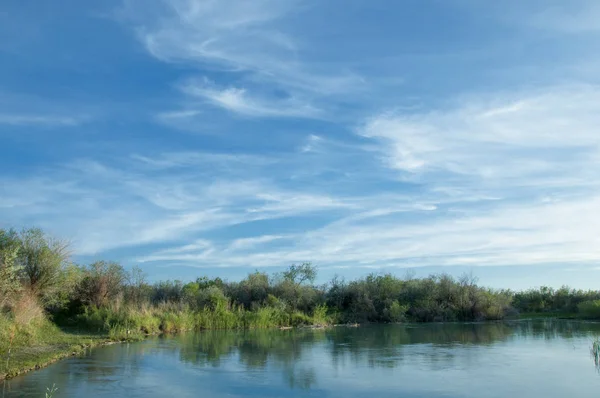 Steppe river reeds summer — Stock Photo, Image