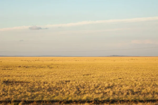 Prairie. e Larga ÁREA Aberta das pastagens , — Fotografia de Stock